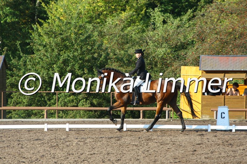 109M6042_Aramis_Dressurreiter L.JPG